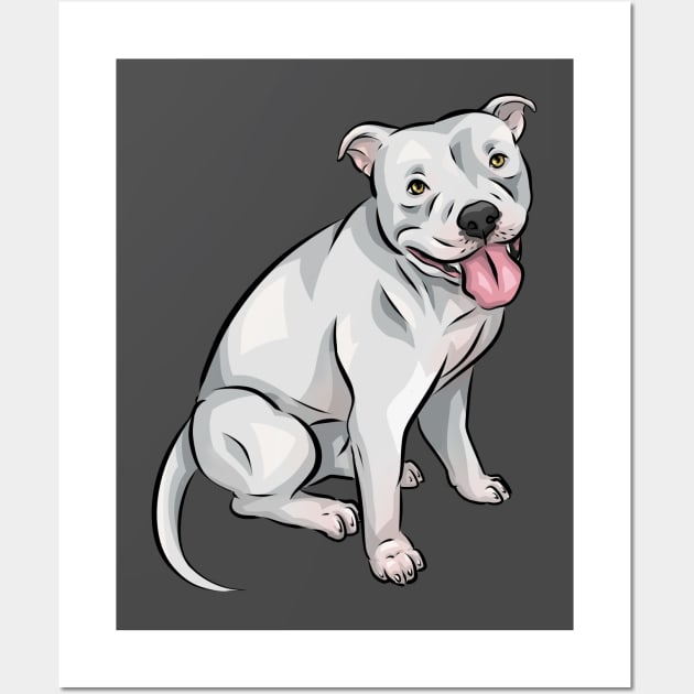 White american bully shop